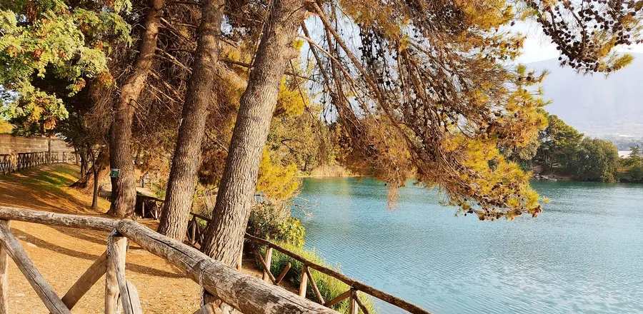 La pineta sulla riva