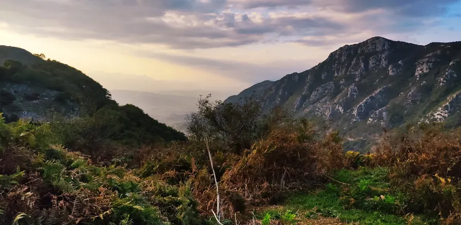 Felci e roccia sul versante del Monte Maggiore