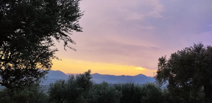 L'uliveto all'ora blu